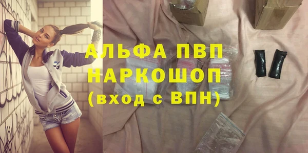 молекула духа Каменка