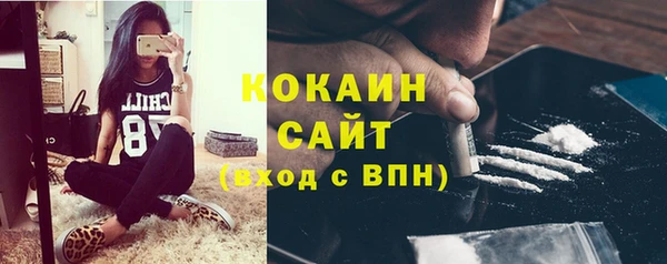молекула духа Каменка