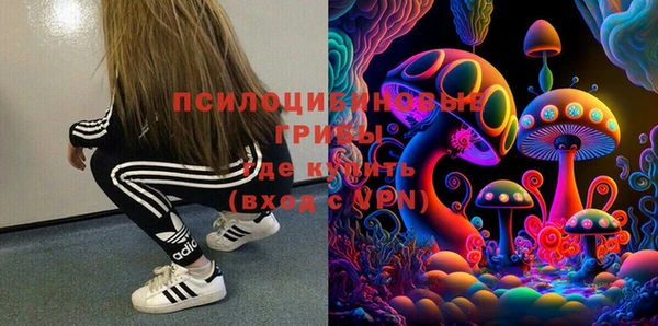 молекула духа Каменка