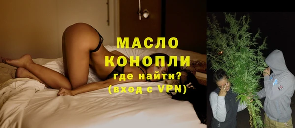 молекула духа Каменка