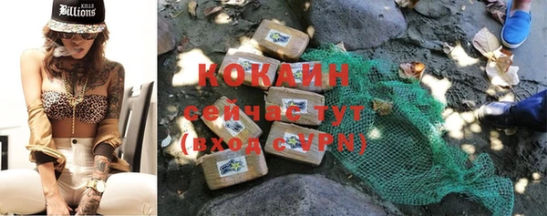 молекула духа Каменка