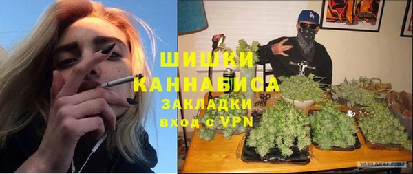 молекула духа Каменка