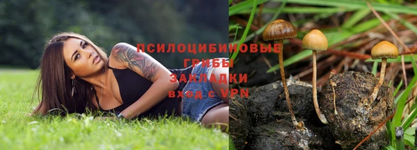 а пвп мука Каменногорск