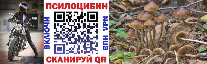 Купить  Салехард  Галлюциногенные грибы Psilocybe 